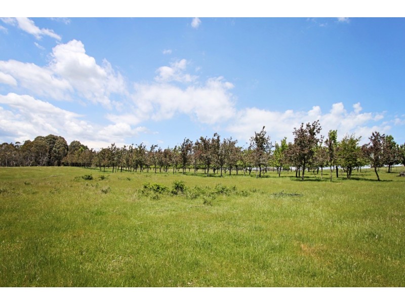 287 Willigobung Road, Tumbarumba NSW 2653