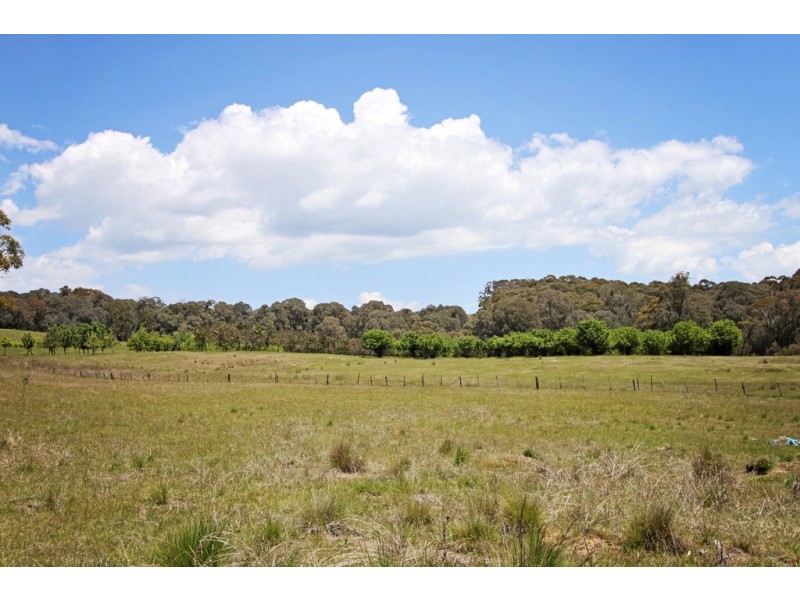 287 Willigobung Road, Tumbarumba NSW 2653
