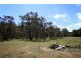 287 Willigobung Road, Tumbarumba NSW 2653