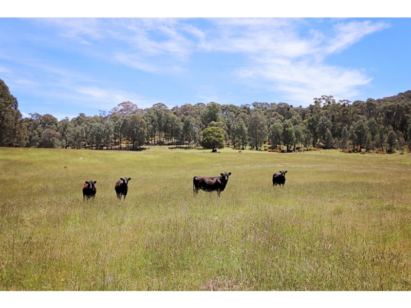 47 Fox Lane, Tumbarumba NSW 2653