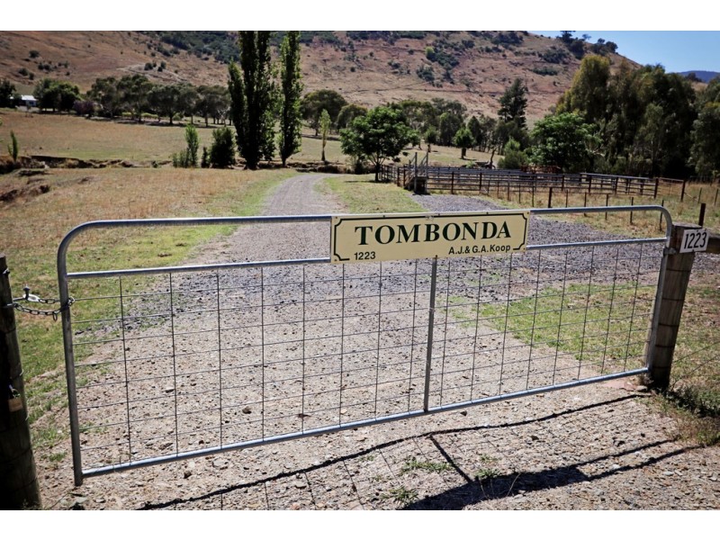 1223 Munderoo-Ournie Road, Tumbarumba NSW 2653