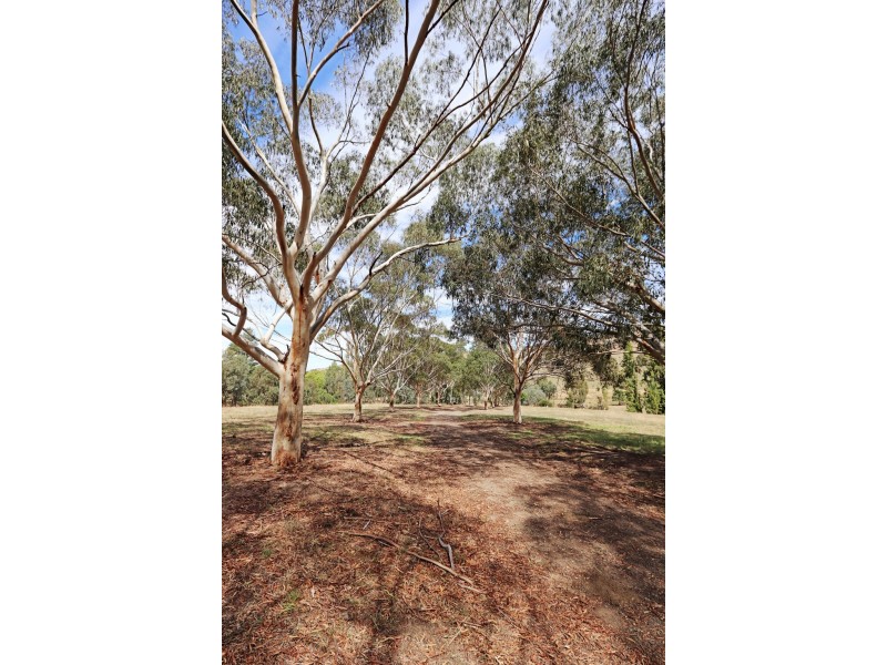 1223 Munderoo-Ournie Road, Tumbarumba NSW 2653