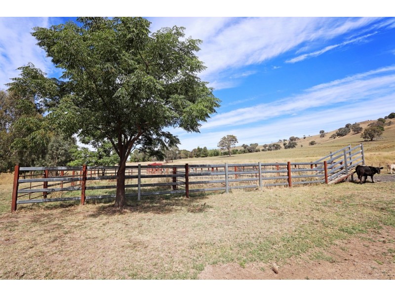 1223 Munderoo-Ournie Road, Tumbarumba NSW 2653