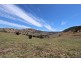 1223 Munderoo-Ournie Road, Tumbarumba NSW 2653