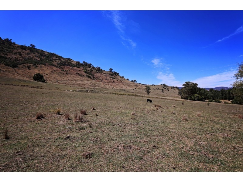 1223 Munderoo-Ournie Road, Tumbarumba NSW 2653