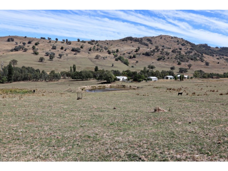 1223 Munderoo-Ournie Road, Tumbarumba NSW 2653