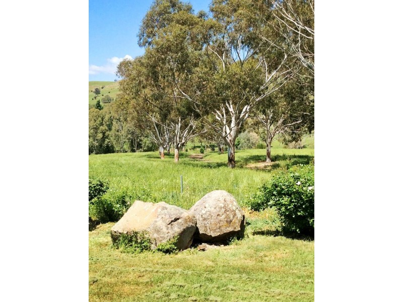 1223 Munderoo-Ournie Road, Tumbarumba NSW 2653