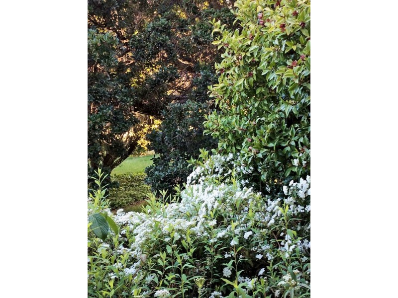 1223 Munderoo-Ournie Road, Tumbarumba NSW 2653