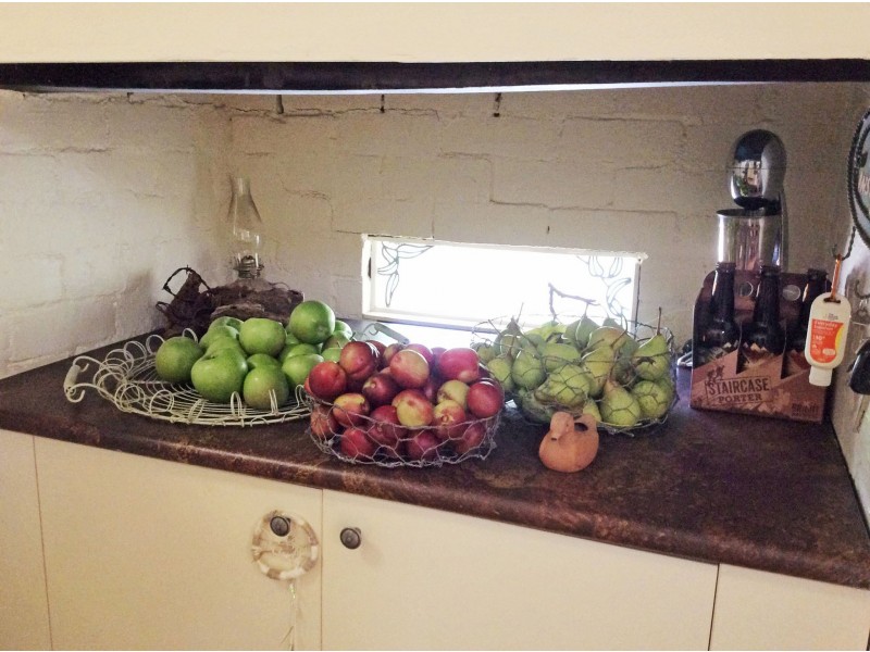 1223 Munderoo-Ournie Road, Tumbarumba NSW 2653