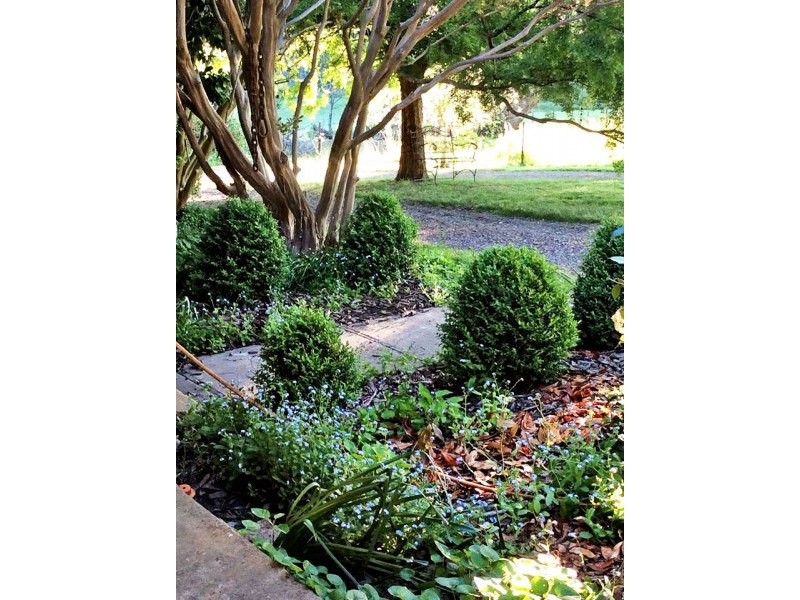 1223 Munderoo-Ournie Road, Tumbarumba NSW 2653