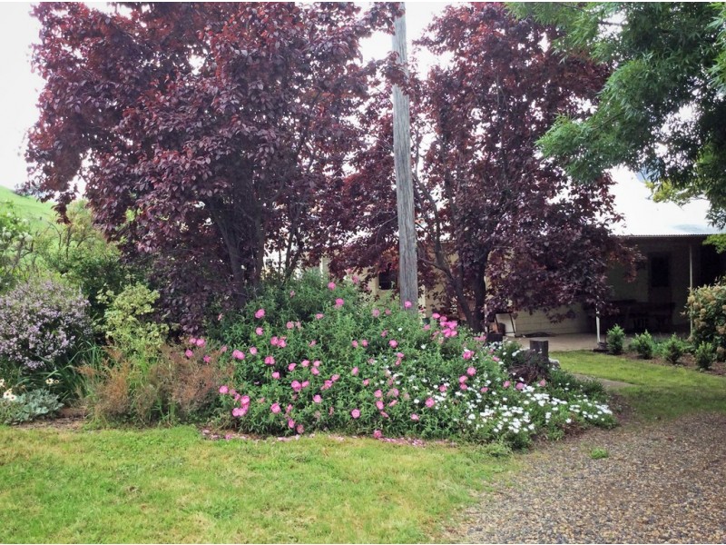 1223 Munderoo-Ournie Road, Tumbarumba NSW 2653