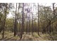 Maragle NSW 2653