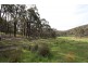 Maragle NSW 2653