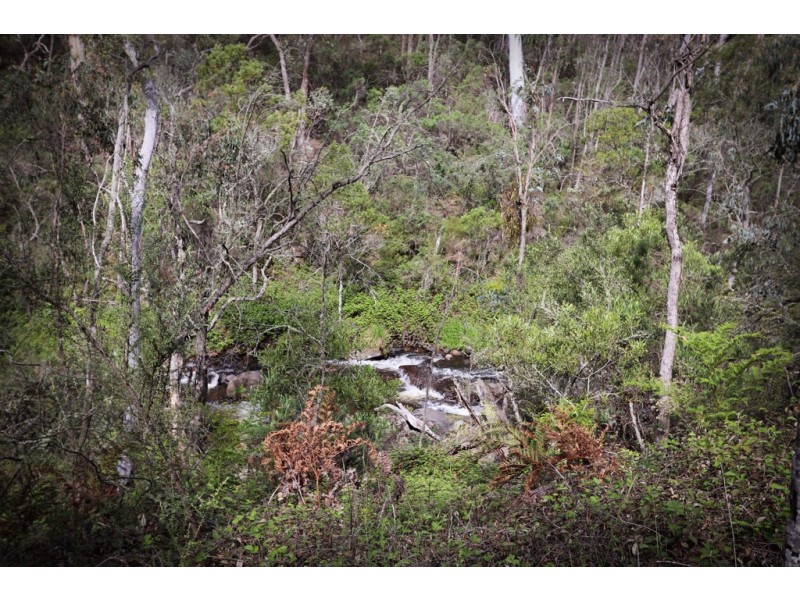 Maragle NSW 2653