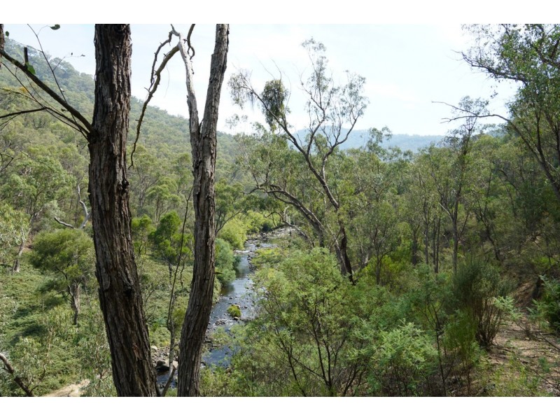 Lots 4 and 5 Tooma, Tumbarumba NSW 2653