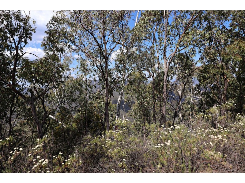 Lots 4 and 5 Tooma, Tumbarumba NSW 2653