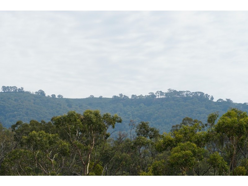 Lots 4 and 5 Tooma, Tumbarumba NSW 2653