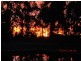 13 Reservoir Lane, Tumbarumba NSW 2653