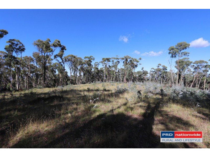 Lot 6 Moody’s Hill Road, Tumbarumba NSW 2653