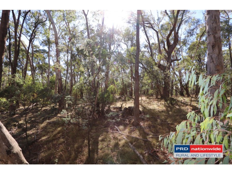 Lot 6 Moody’s Hill Road, Tumbarumba NSW 2653
