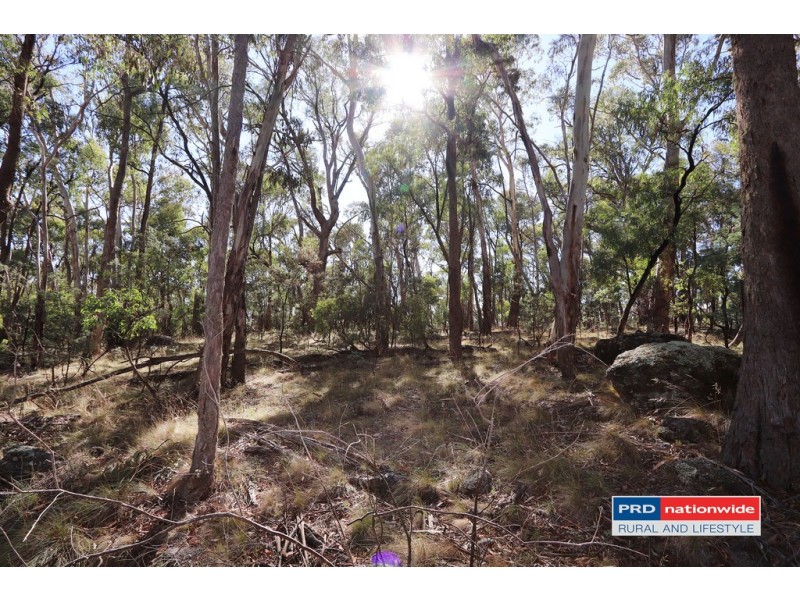 Lot 6 Moody’s Hill Road, Tumbarumba NSW 2653