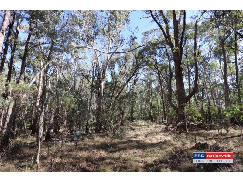 Lot 6 Moody’s Hill Road, Tumbarumba NSW 2653