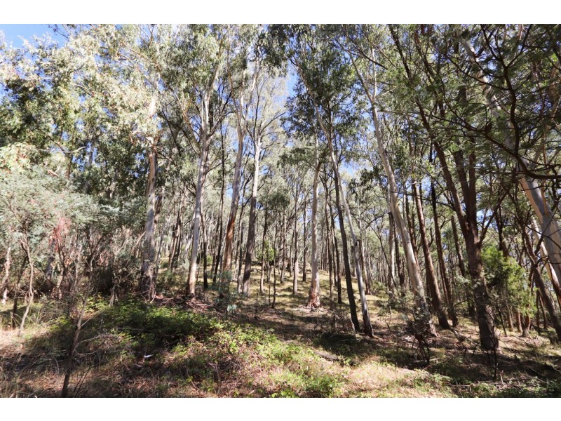 Lot 6 Moody’s Hill Road, Tumbarumba NSW 2653
