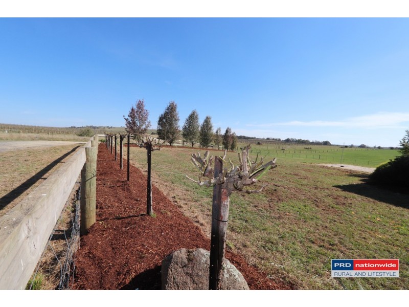 7 Glenroy Hills Road, Tumbarumba NSW 2653