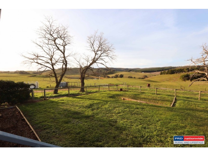 7 Glenroy Hills Road, Tumbarumba NSW 2653