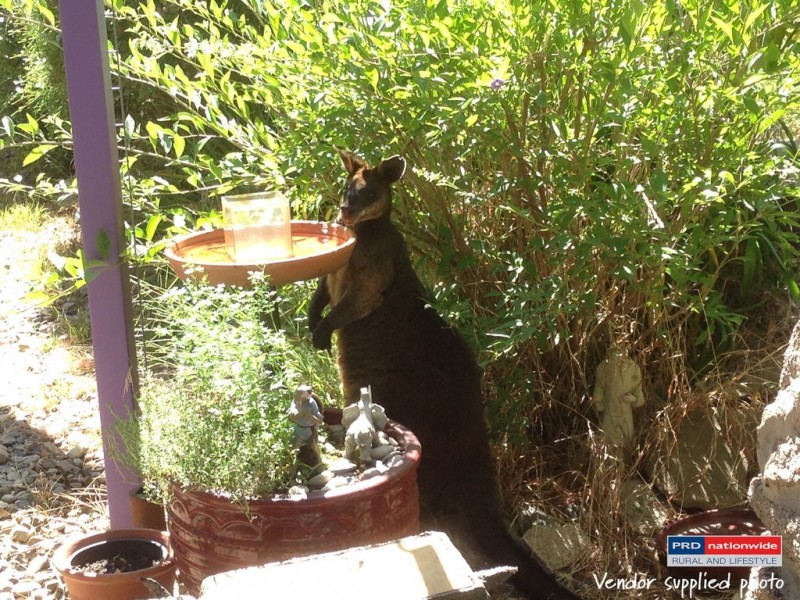 164 Power Street, Tumbarumba NSW 2653