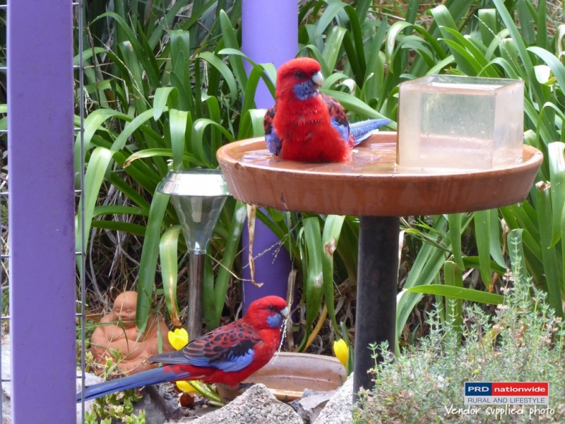 164 Power Street, Tumbarumba NSW 2653