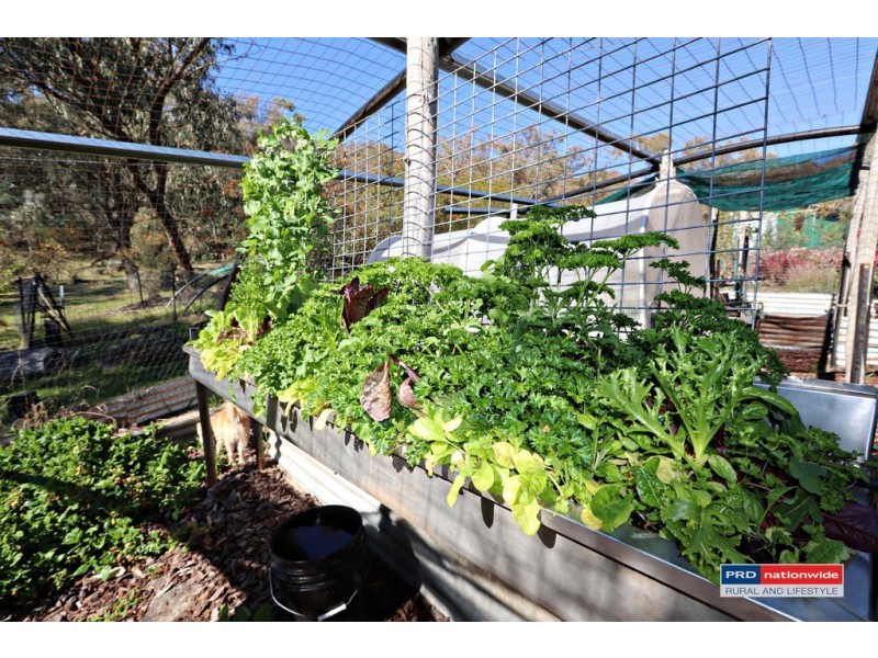 164 Power Street, Tumbarumba NSW 2653