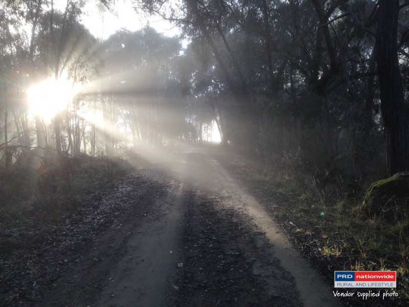 164 Power Street, Tumbarumba NSW 2653