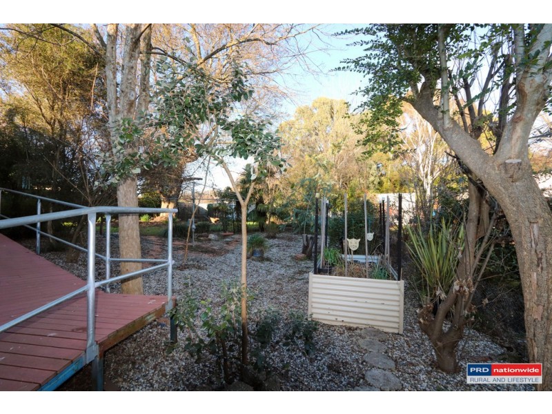 104 Murray, Tumbarumba NSW 2653