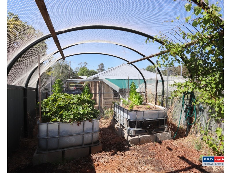 9 Albury Close, Tumbarumba NSW 2653