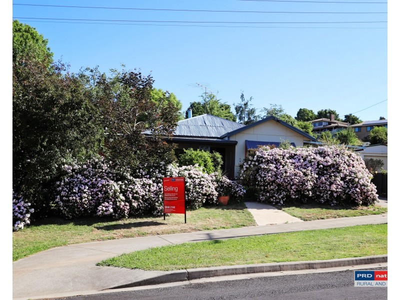 9 Albury Close, Tumbarumba NSW 2653