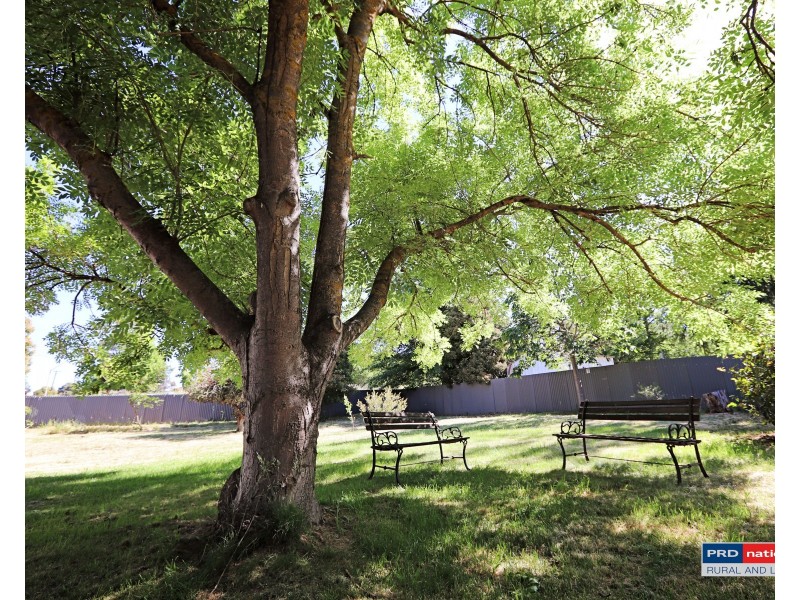 9 Albury Close, Tumbarumba NSW 2653