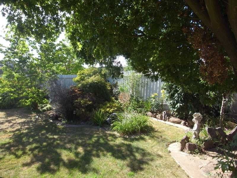 19 York Street, Tumbarumba NSW 2653