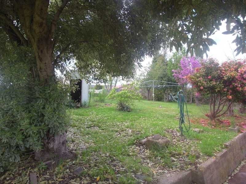 14 Park Street, Tumbarumba NSW 2653