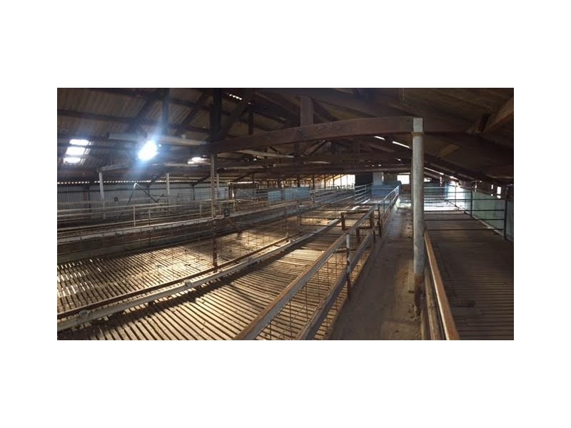 60 Ramsay Road, Tumbarumba NSW 2653