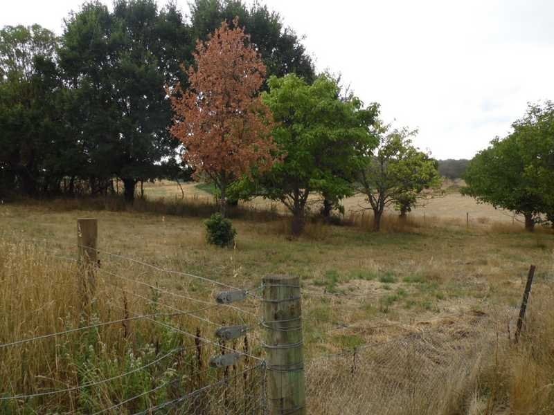 424 Wagga Road, Tumbarumba NSW 2653