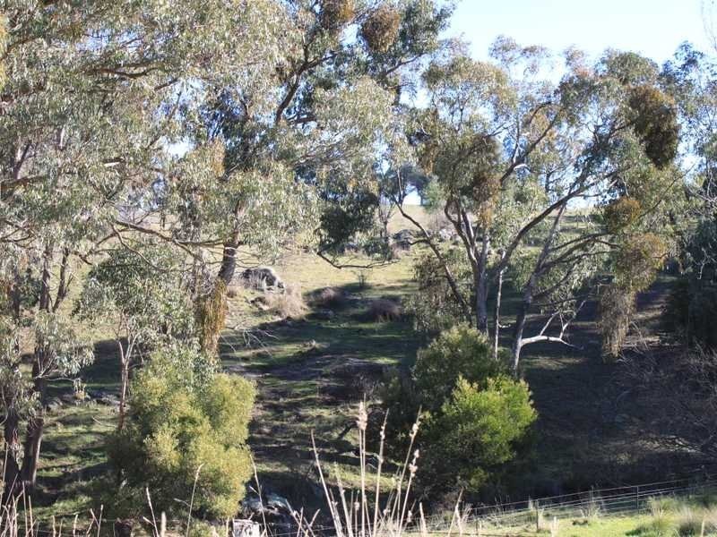250 Pound Creek Road, Tumbarumba NSW 2653