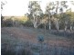 Lot 2 Tooma Road, Tumbarumba NSW 2653
