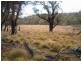 Lot 1 East Bago Powerline Road, Tumbarumba NSW 2653