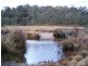 Lot 1 East Bago Powerline Road, Tumbarumba NSW 2653