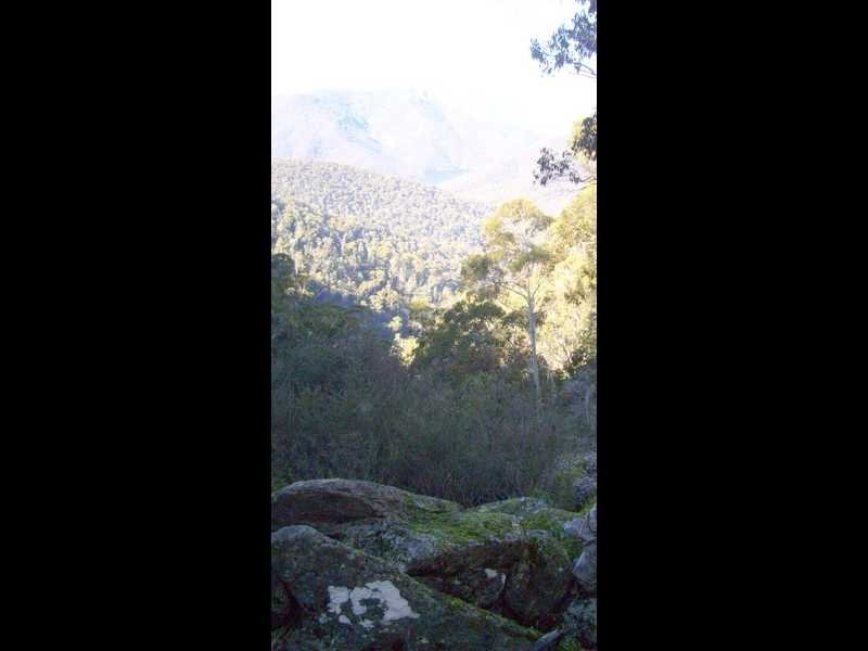 Lot 1 East Bago Powerline Road, Tumbarumba NSW 2653