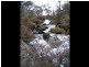 Lot 1 East Bago Powerline Road, Tumbarumba NSW 2653
