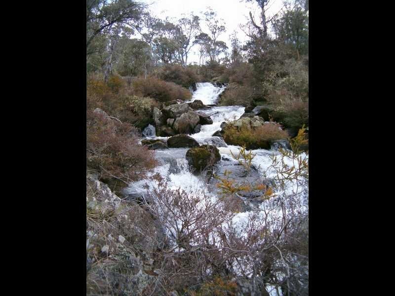 Lot 1 East Bago Powerline Road, Tumbarumba NSW 2653