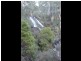 Lot 1 East Bago Powerline Road, Tumbarumba NSW 2653