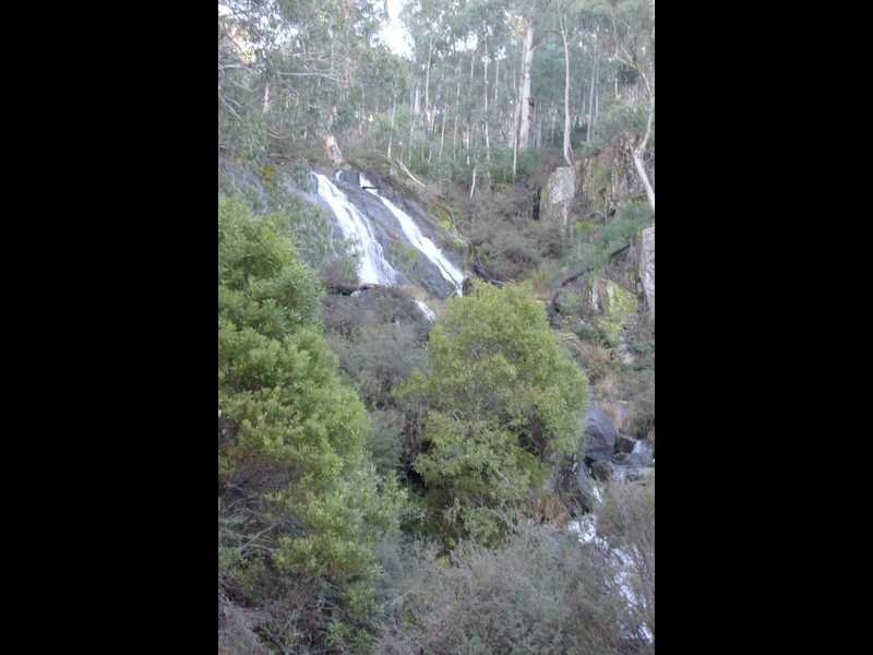 Lot 1 East Bago Powerline Road, Tumbarumba NSW 2653